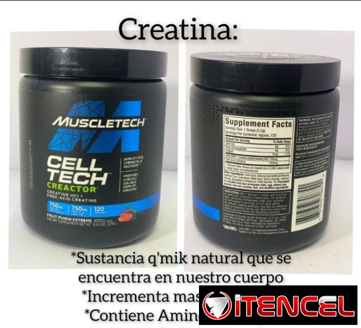 Implementos para el gym