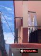 Tendederas plegables