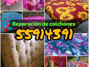 dd242877-983f-44ec-aaeb-b11ee3e009b7