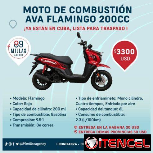 Moto de combustión AVA FLAMINGO