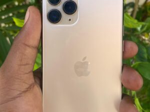 31734091-F942-4B1C-BB65-94763048569B