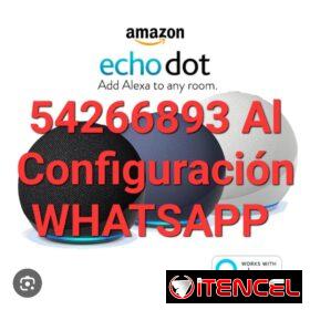 photo_4936381277263736865_y