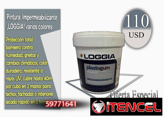 Transforma tus espacios con calidad profesional Pinturas profesionales.