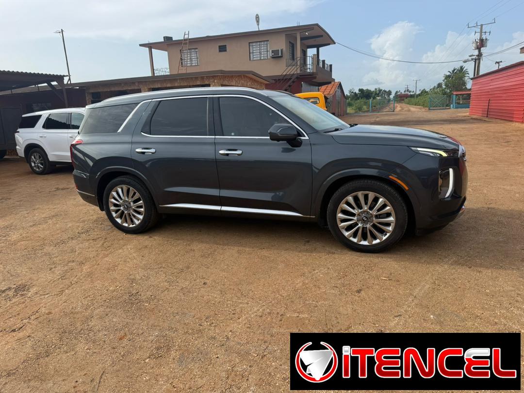 HIUNDAI PALISADE CALIGRAFE 2020