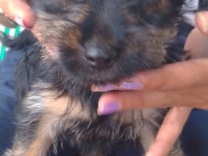 IMG_20251126_155722_363