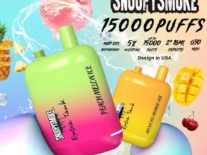 SnoopyKhoi15000HoiNhanhGiaoHangCoSanDangGiamGiaUSAZboodBanChayNhatVape20000ThuocLaDienTuVapeDungMotLan