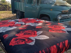 f71d7e09-38c3-4f93-bc00-b79ae0a2d63b