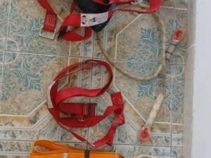 d9c5b93e-8e76-443b-a6c4-a92f994e5996