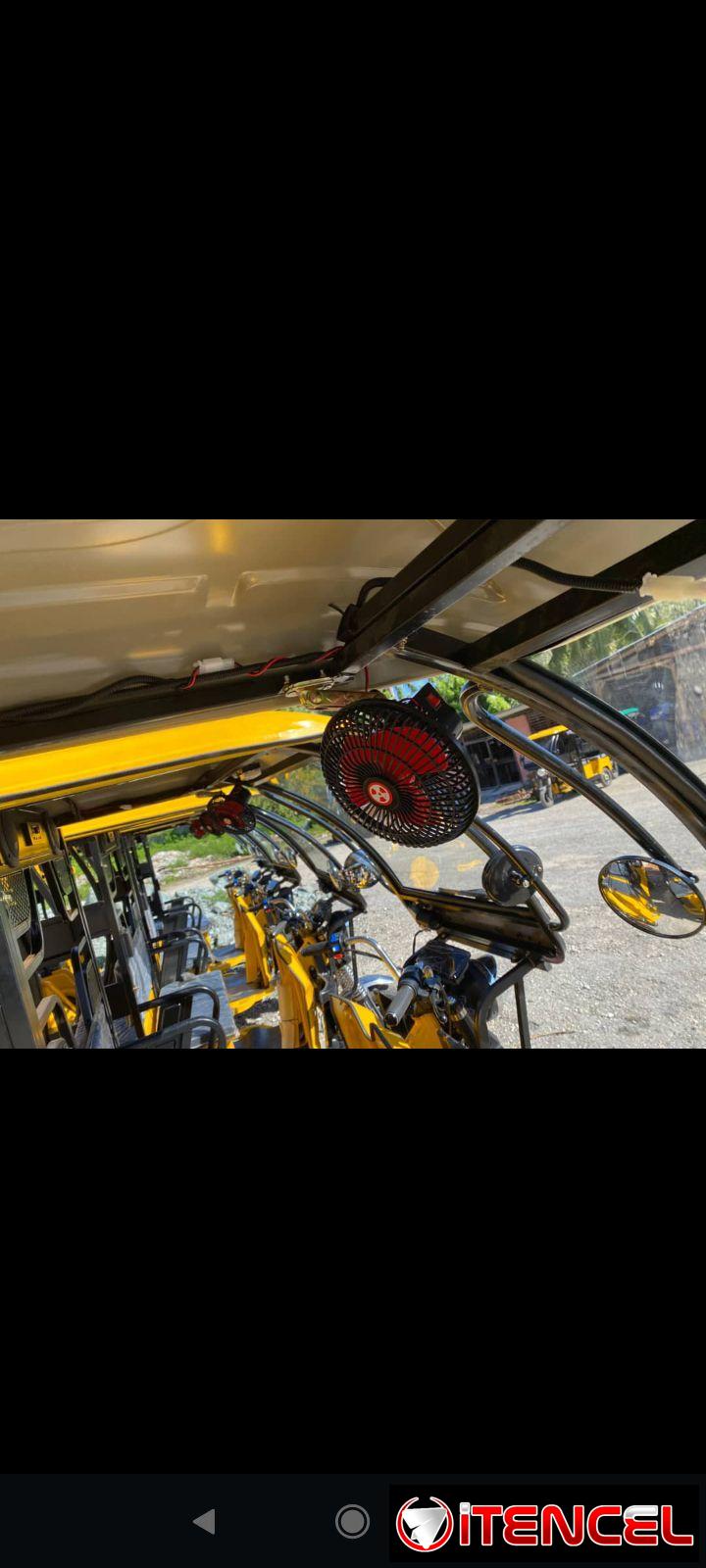 TRICICLO DE PASEO WH