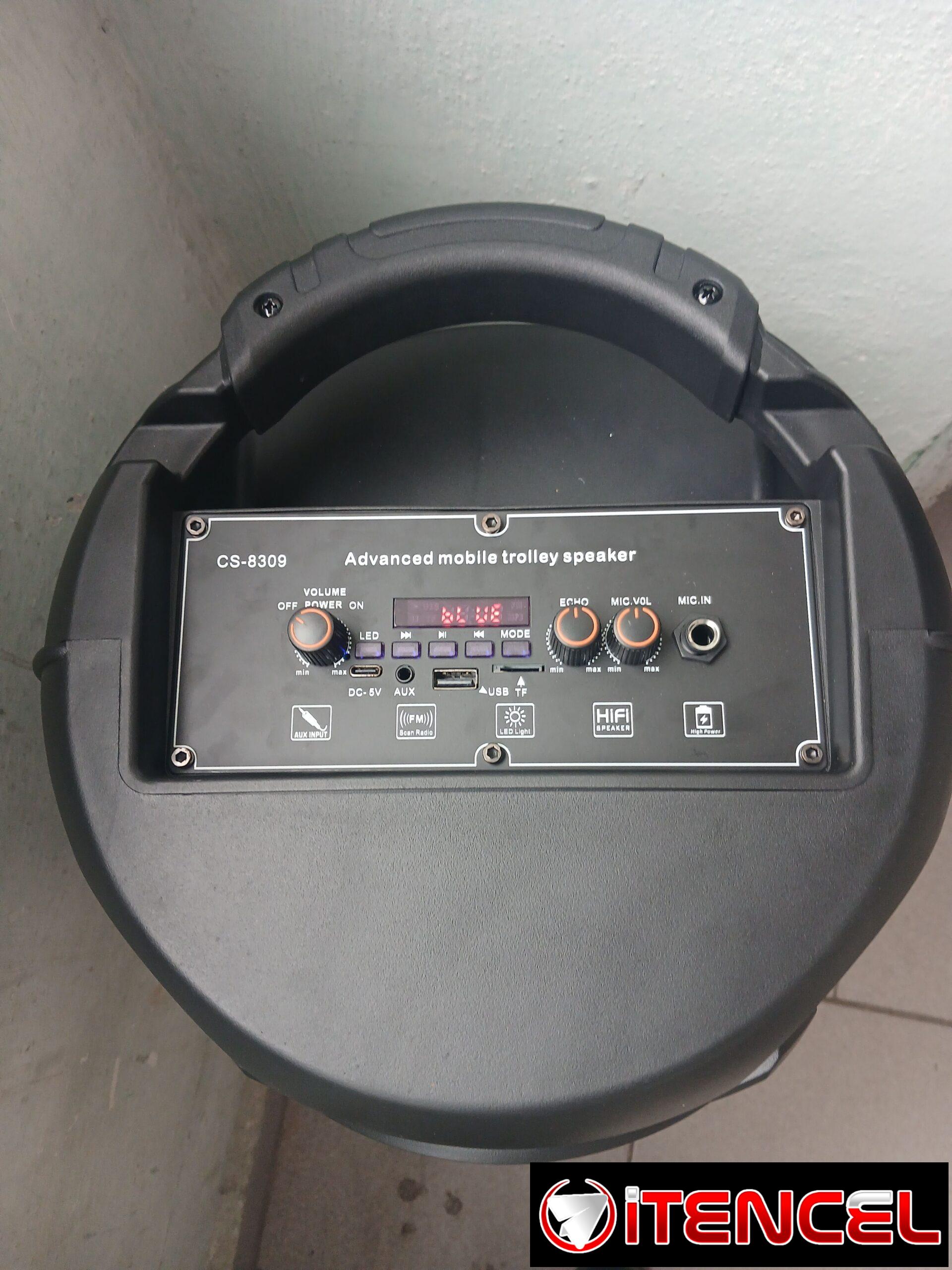 BOCINA GRANDE MARCA BRAVOKING, MODELO CS-8309