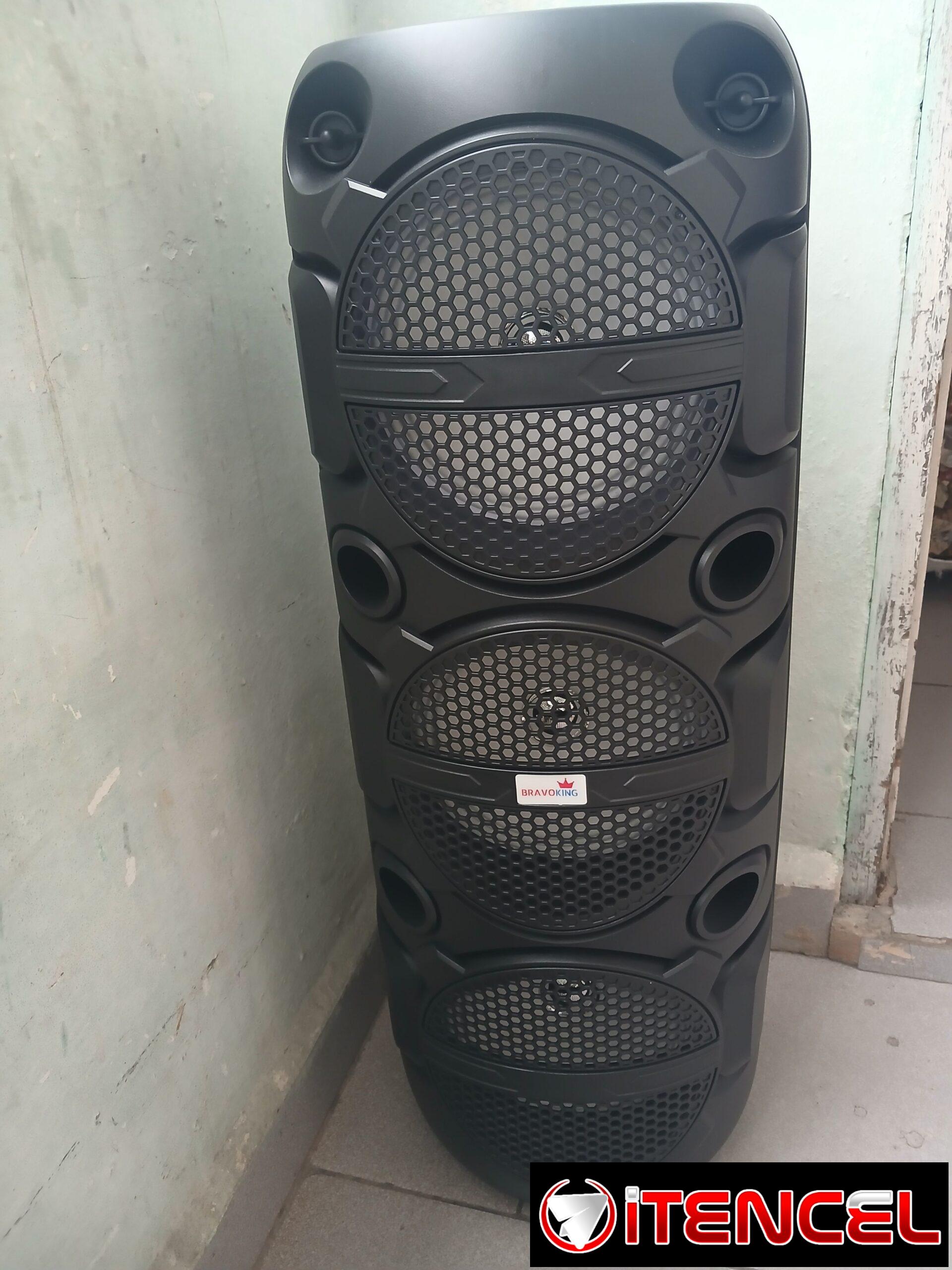 BOCINA GRANDE MARCA BRAVOKING, MODELO CS-8309