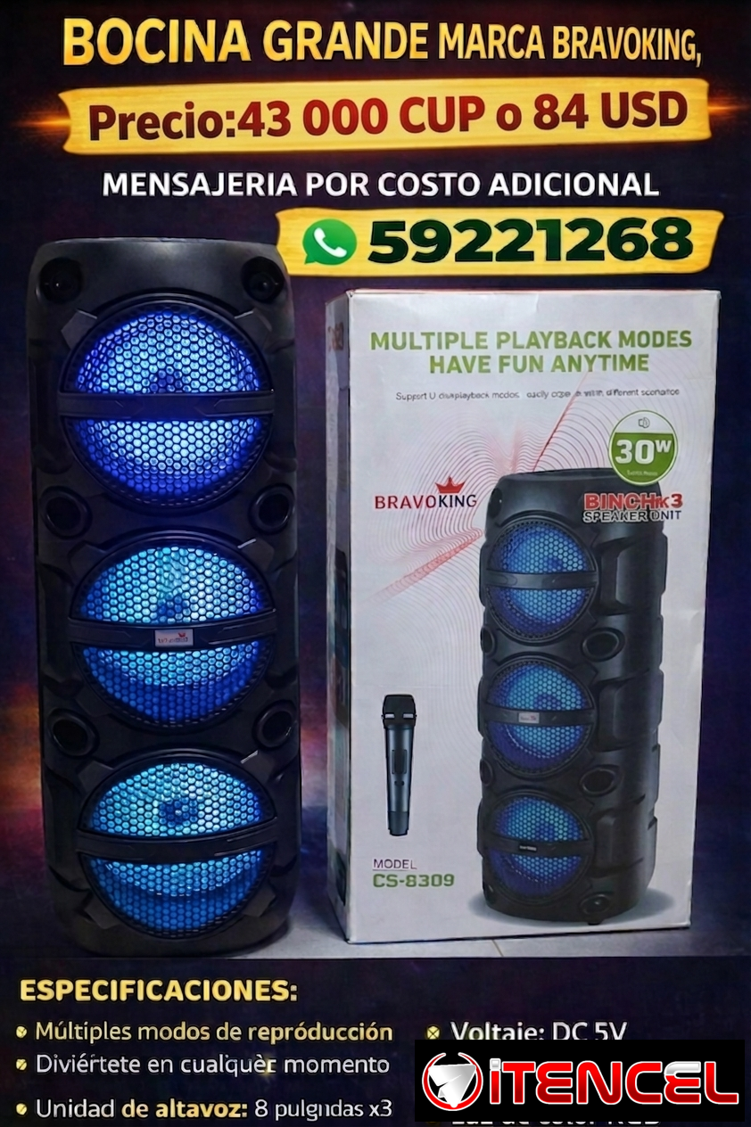 BOCINA GRANDE MARCA BRAVOKING, MODELO CS-8309