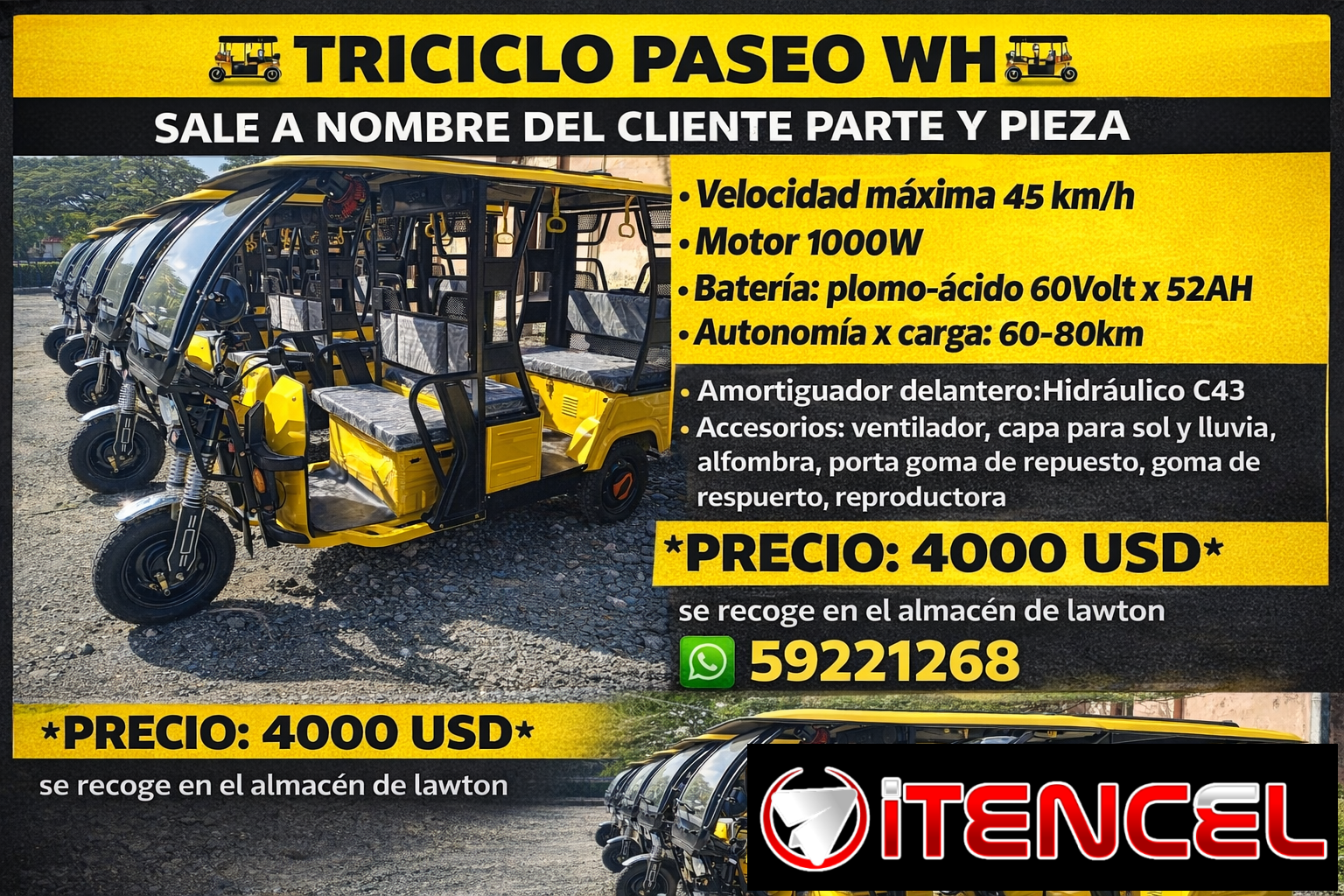 TRICICLO DE PASEO WH
