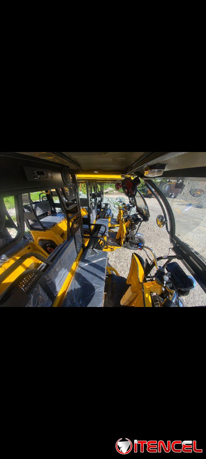 TRICICLO DE PASEO WH