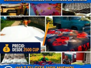 7df653cf-58ed-4d61-8410-9516a4ea5488