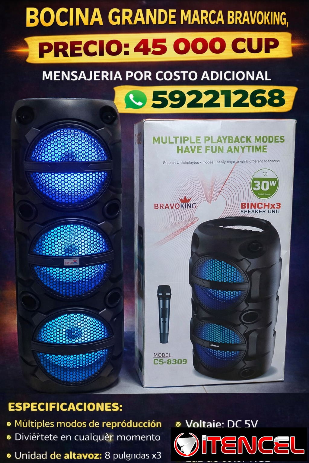 BOCINA GRANDE MARCA BRAVOKING, MODELO CS-8309