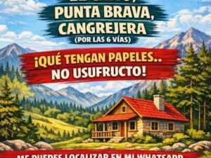 a2ca207d-084b-434c-aaa5-31fe5459d0be