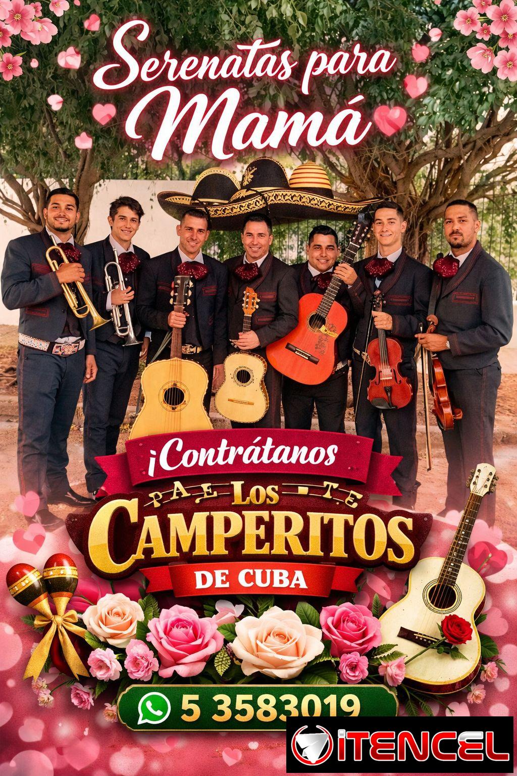 Pedro Marqueting. La Solución a tu Publicidad