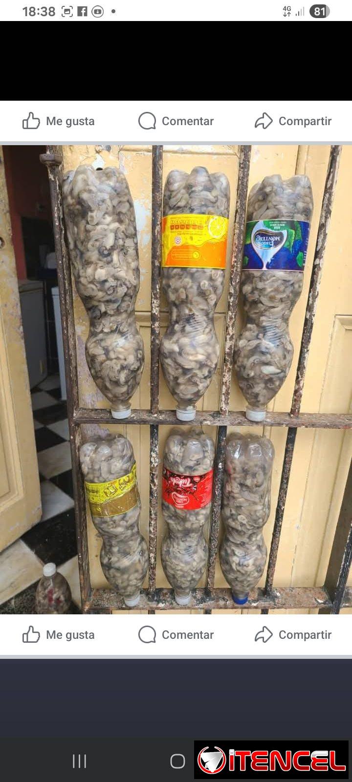 Cárnicos y mariscos