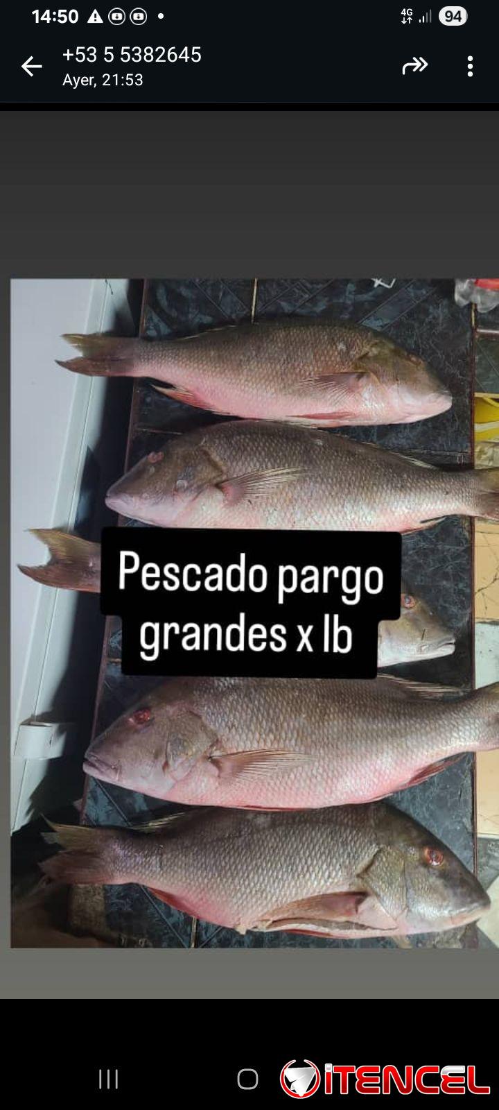 Cárnicos y mariscos