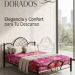 8b353453-43ea-4a70-b462-63afa16344c2