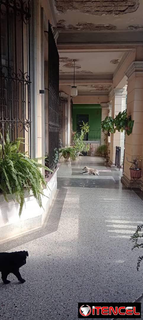 vendo casa totalmente independiente de tres niveles en el vedado en zona de letras con jardin, garaje para 4 autos, portal, 6 habi