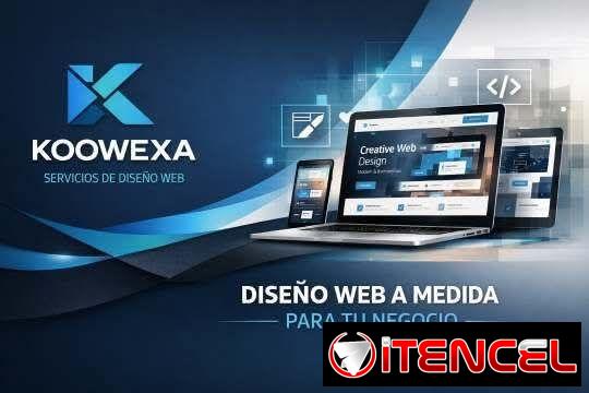 PAGINAS WEBS – PLAN NEGOCIO