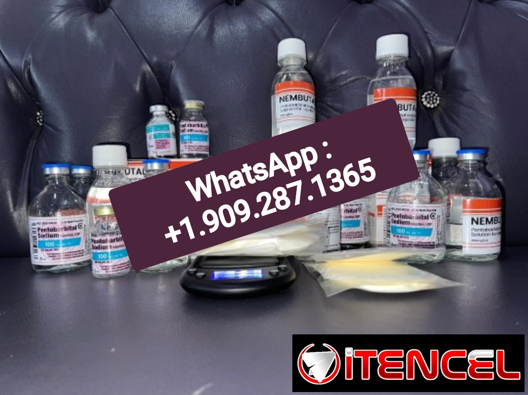 Buy Nembutal Sodium (pentobarbital sodium) Online