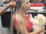 Todo servicios de belleza en el mismo lugar. Con trasporte