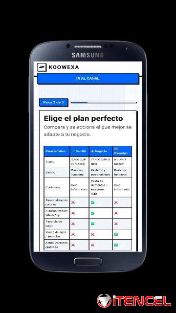SERVICIO DE PAGINAS WEB