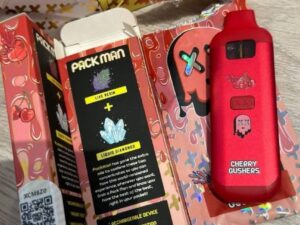 IMG-20251113-WA0012