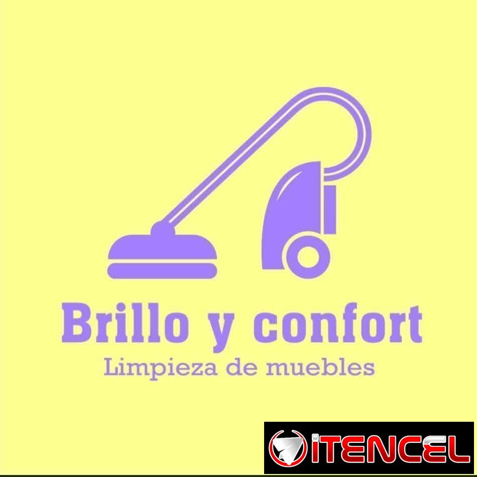 Limpieza de mueble y todo lo que tenga tela