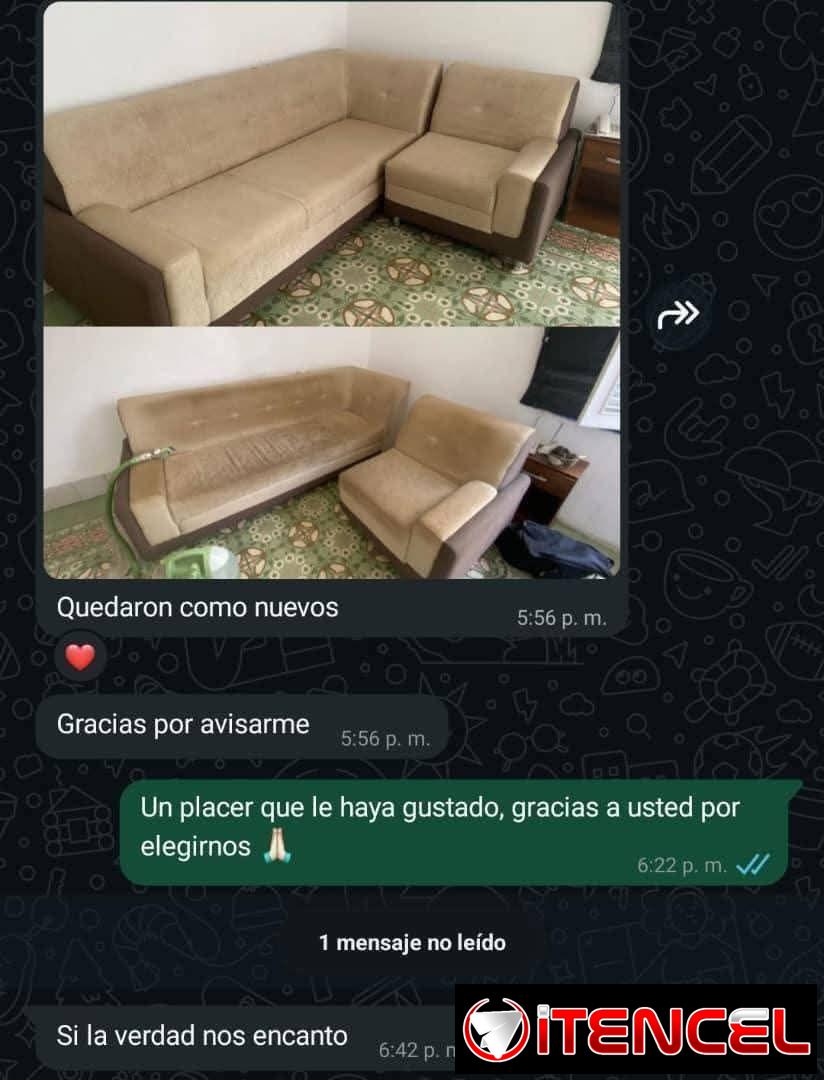 Limpieza de mueble y todo lo que tenga tela