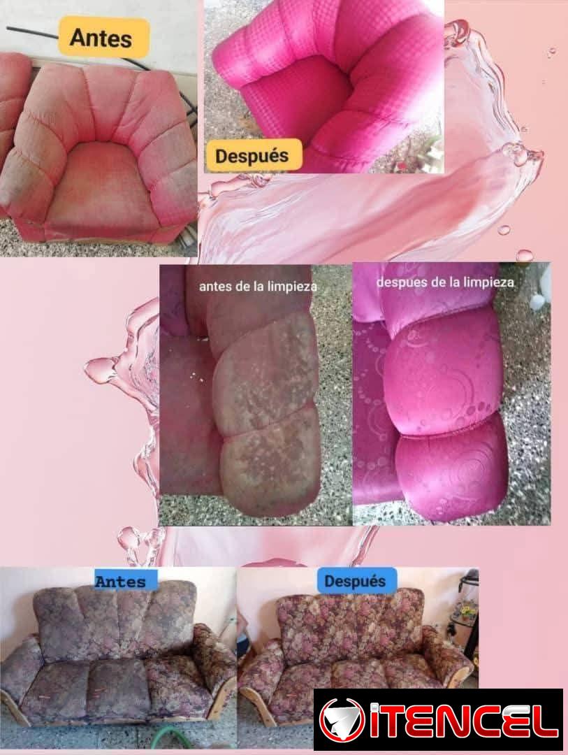 Limpieza de mueble y todo lo que tenga tela