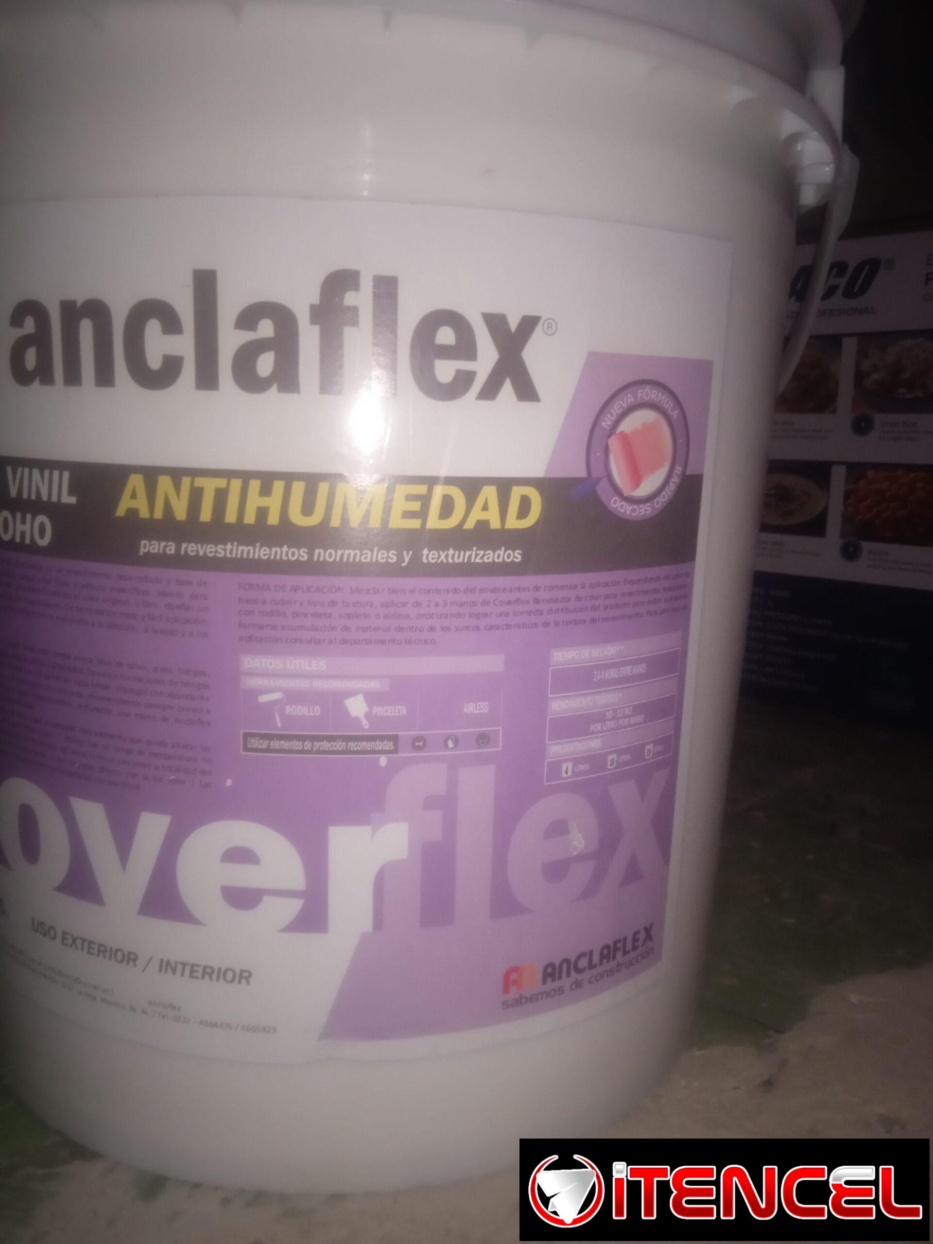 Pintura Vinil (Antihumedad_Antimoho)