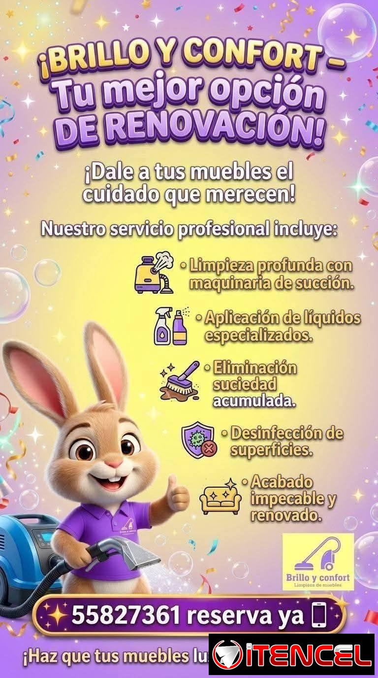 Limpieza de mueble y todo lo que tenga tela