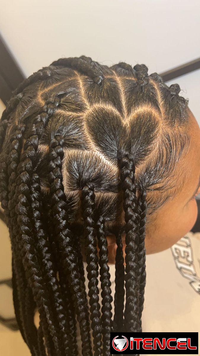 Trenzas bohemias