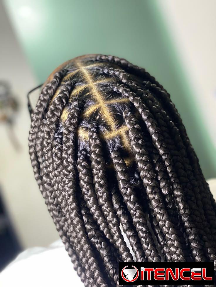 Trenzas bohemias