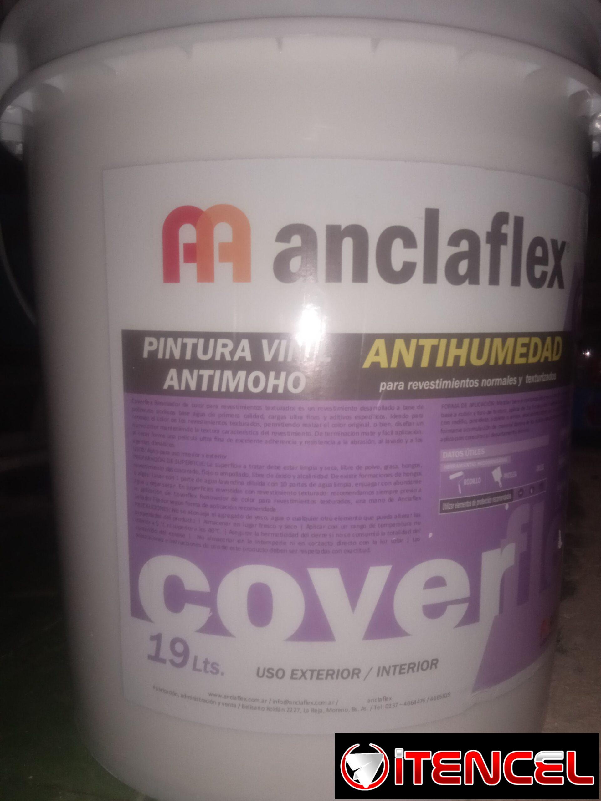 Pintura Vinil (Antihumedad_Antimoho)