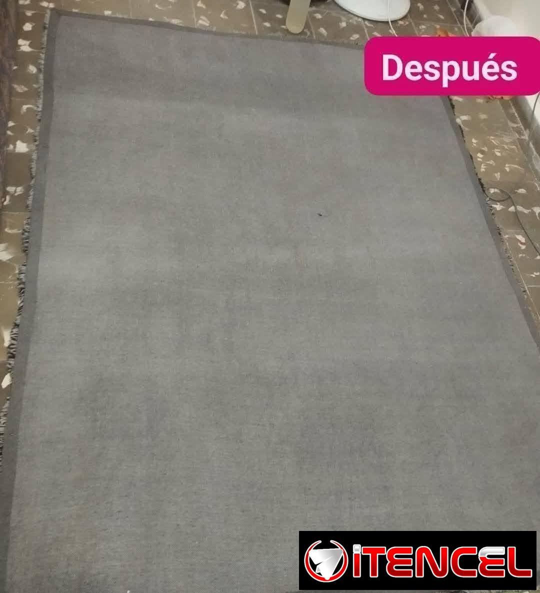 Limpieza de mueble y todo lo que tenga tela