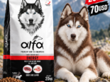 PIENSO PARA PERROS Y GATOS DE LA MEJOR CALIDAD