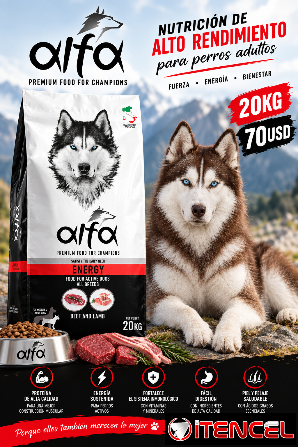 PIENSO PARA PERROS Y GATOS DE LA MEJOR CALIDAD