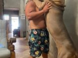 CACHORROS CANE CORSO CON PEDIGREE INTERNACIONAL