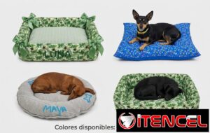 Mascotas