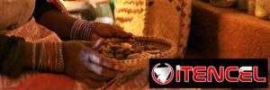 Authentic Spell Caster +27826623707 Canada !!! Australia, Austria, Bahrain, Bangladesh, Belarus, Belgium, Belize, Bolivia, Bosnia